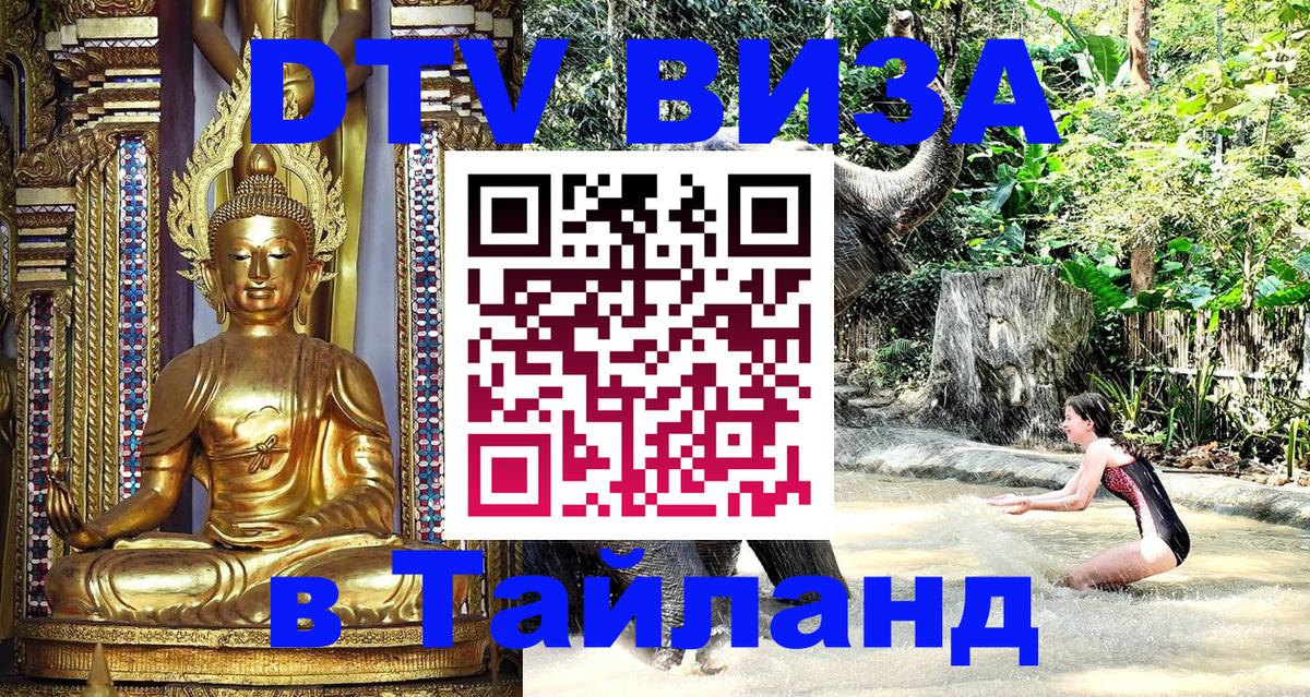 Сколько стоит DTV виза — актуальные цены, оформление даже без документов - 09.01.2026 